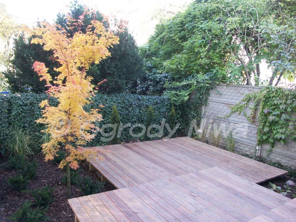 Ogród nowoczesny na Mokotowie