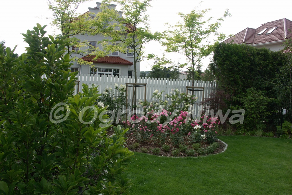 Ogród nowoczesny w Wilanowie