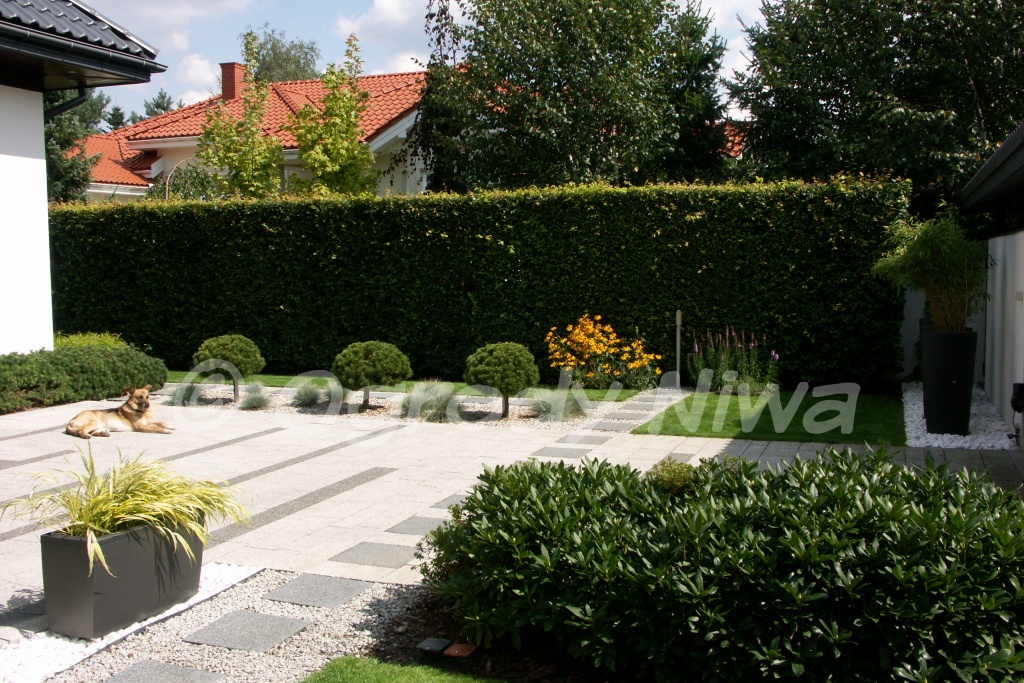 Ogród nowoczesny w Latchorzewie