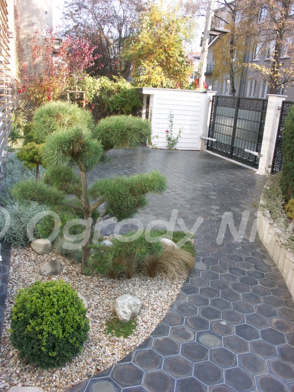 Ogród nowoczesny na Mokotowie