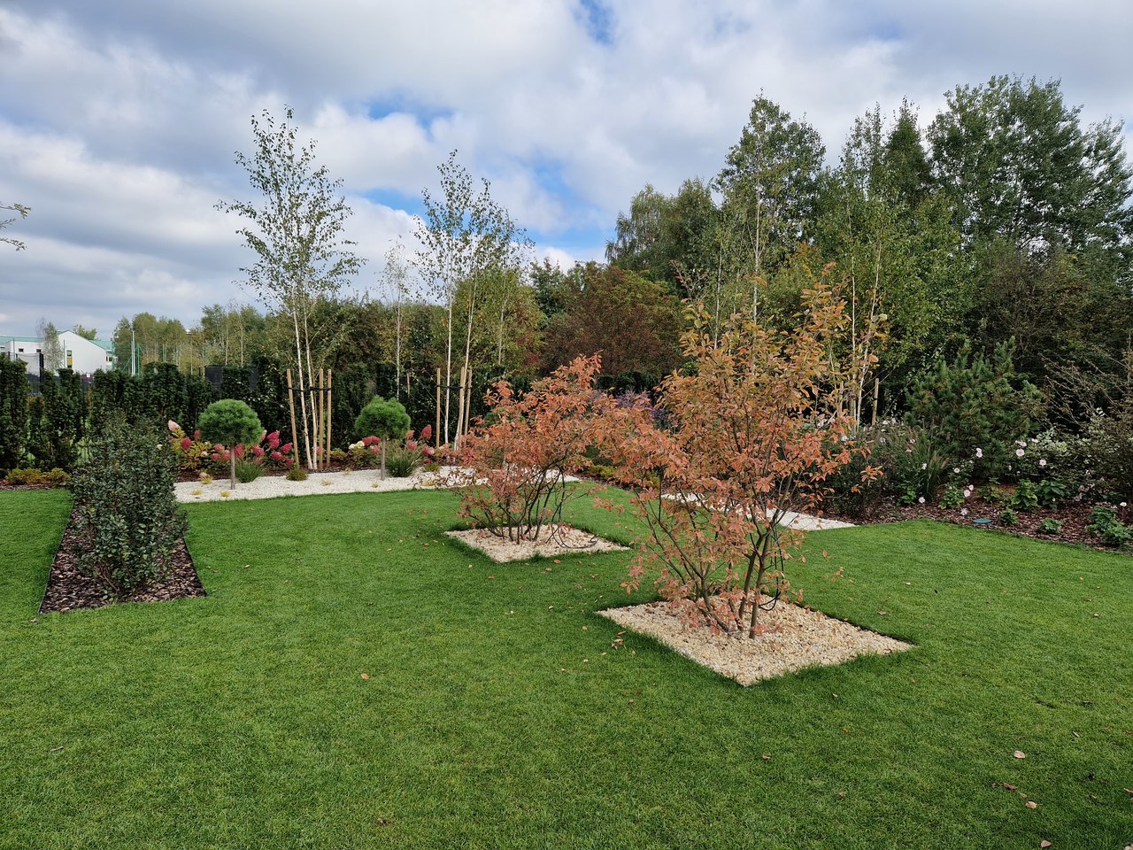 Ogród nowoczesny w Wilanowie