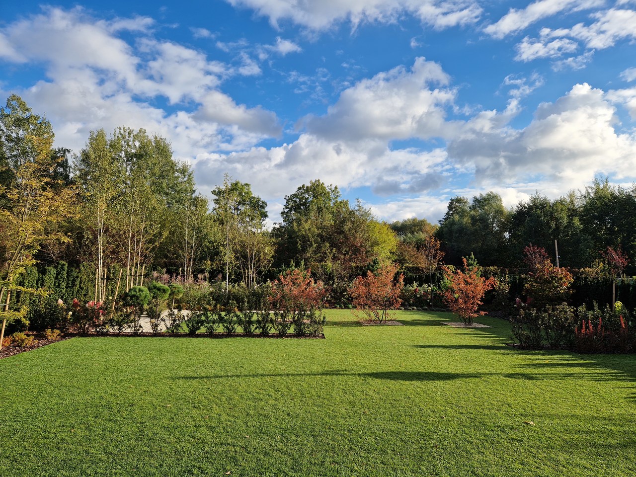 Ogród nowoczesny w Wilanowie