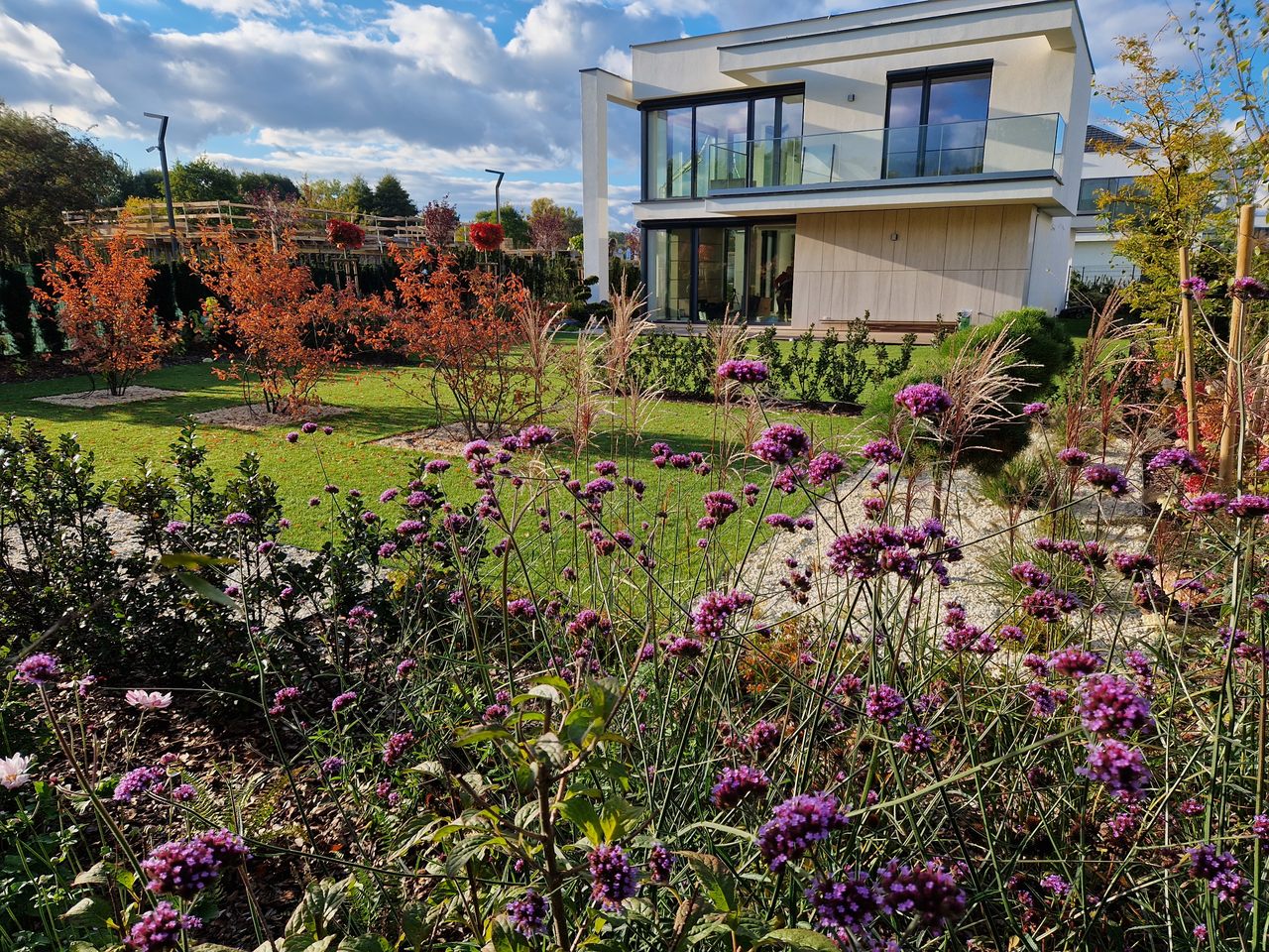 Ogród nowoczesny w Wilanowie