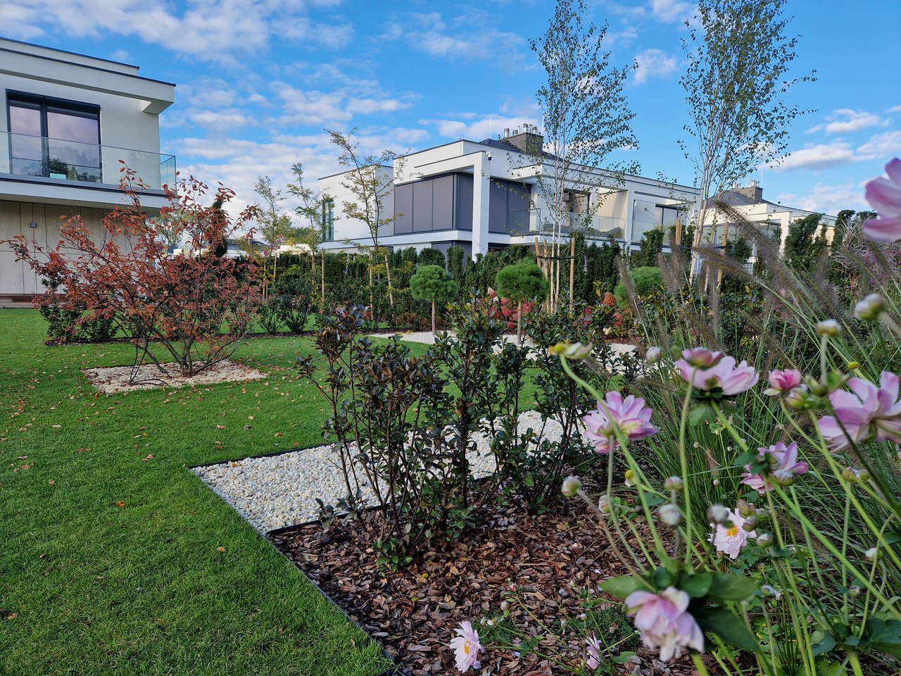 Ogród nowoczesny w Wilanowie