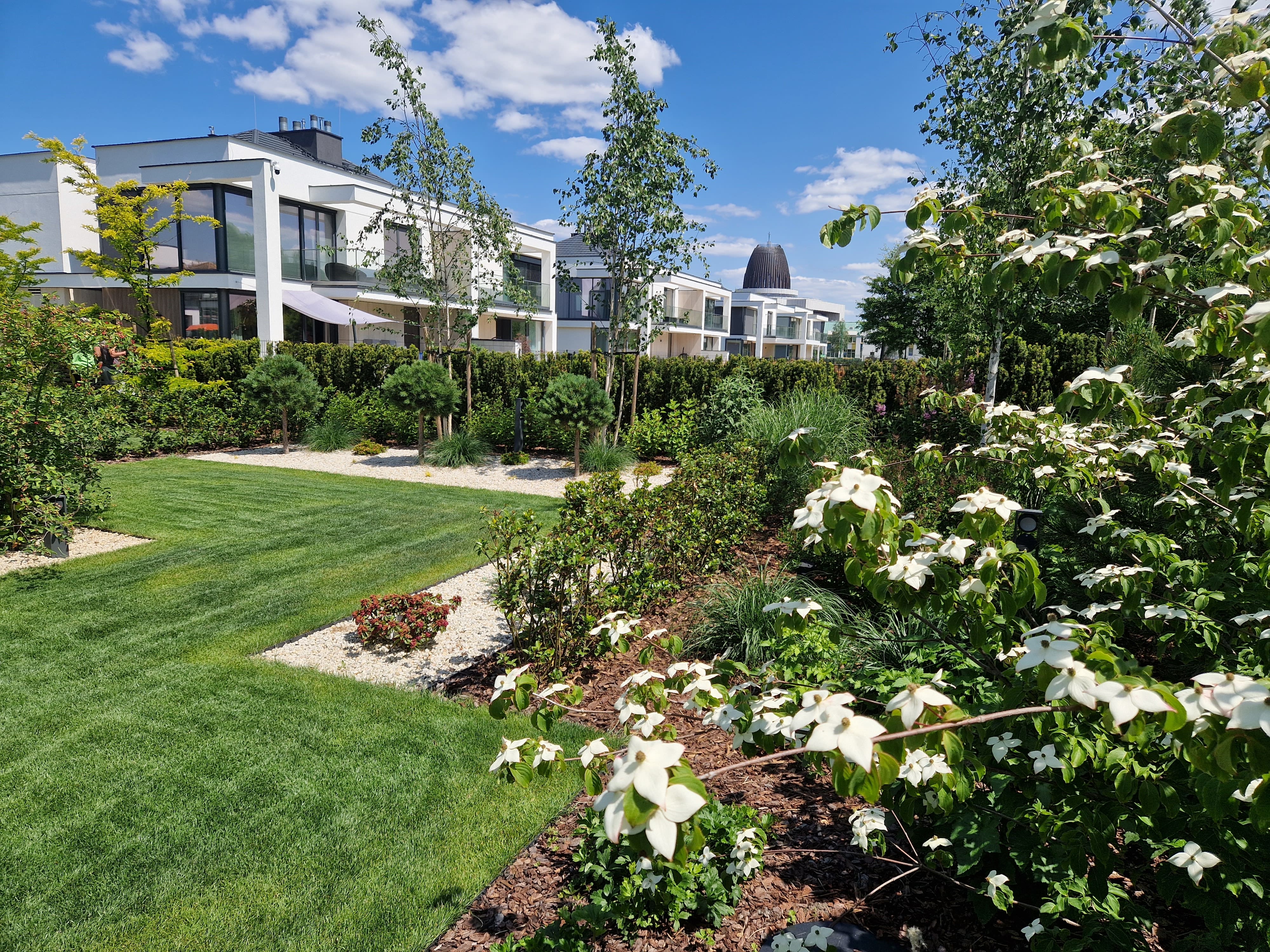 Ogród nowoczesny w Wilanowie